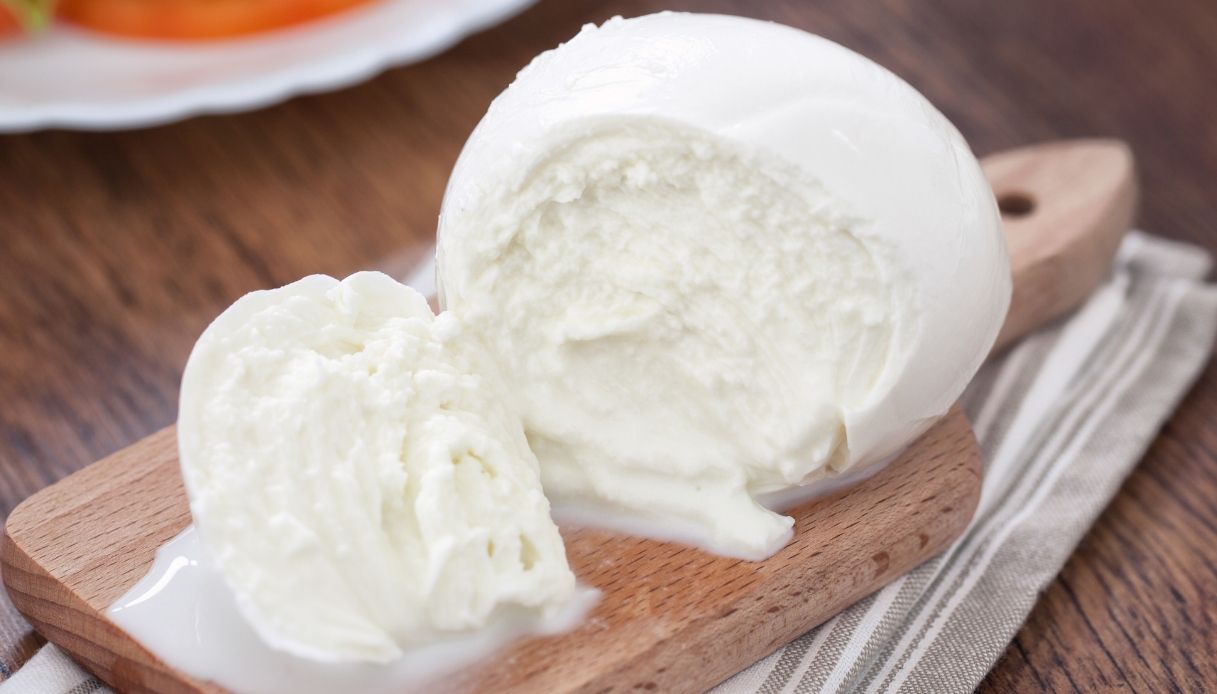 Luparar | The Mozzarella di Bufala Campana AOP Lupara is the wonderful result of the Campanian dairy tradition | Producer of Distributions Macchi