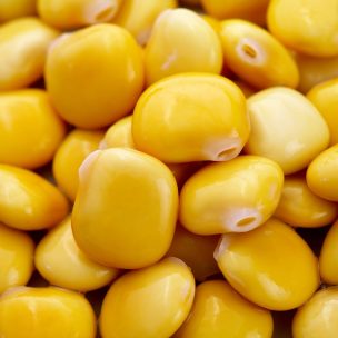 Lupini pugliesina