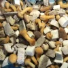 Mix mushrooms porcini