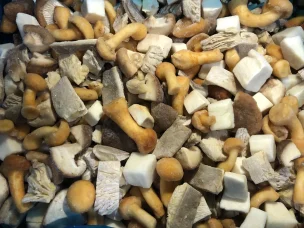 Mix mushrooms porcini