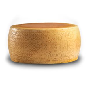 Padano 10M wheel