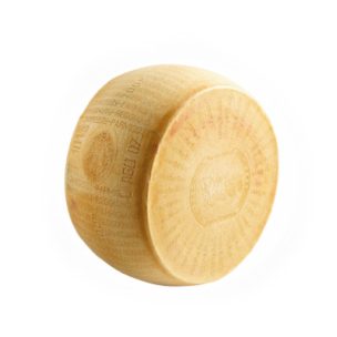Reggiano vacche rossa