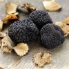Tuber Uncinatum