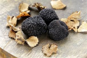 Tuber Uncinatum
